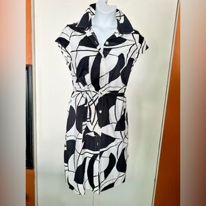 Button down shirt dress